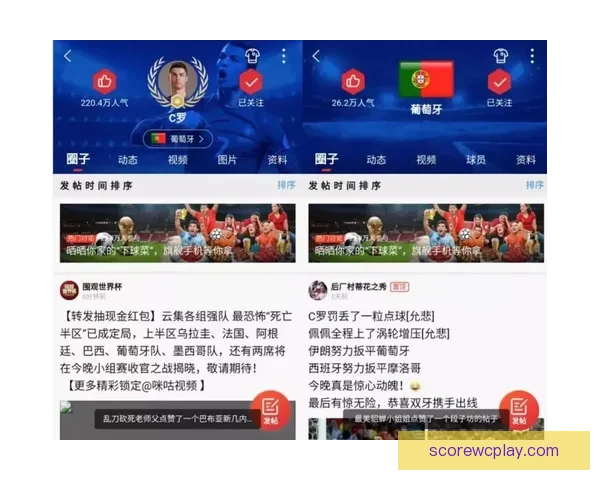 盘点热门世界杯竞猜平台及其玩法优势全面解析与选择攻略指南